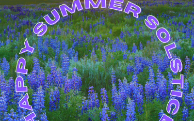 Enraptured by the Spectacular Solstice Sun: Unveiling it’s Radiance!